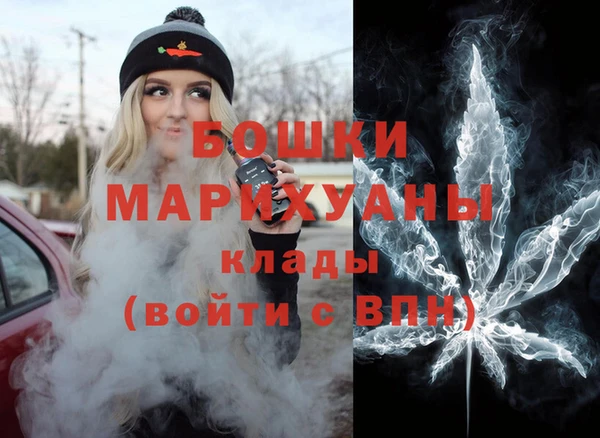 индика Чердынь