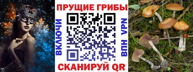 Галлюциногенные грибы ЛСД  shop клад  Аргун  купить  