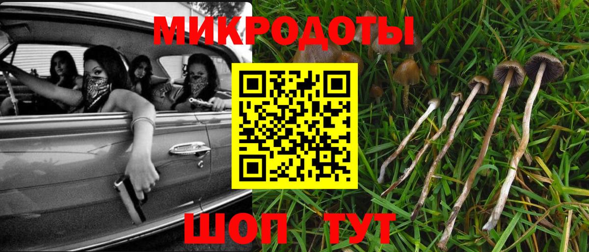 Псилоцибиновые грибы Cubensis  Вход с VPN  Аргун 
