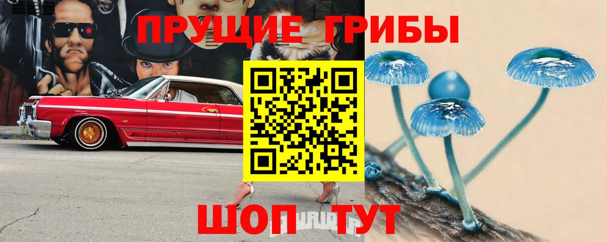 Псилоцибиновые грибы Magic Shrooms  Псилоцибиновые грибы Cubensis  Аргун 