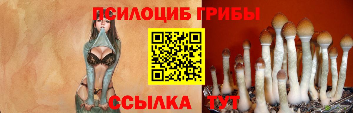 Галлюциногенные грибы GOLDEN TEACHER Аргун